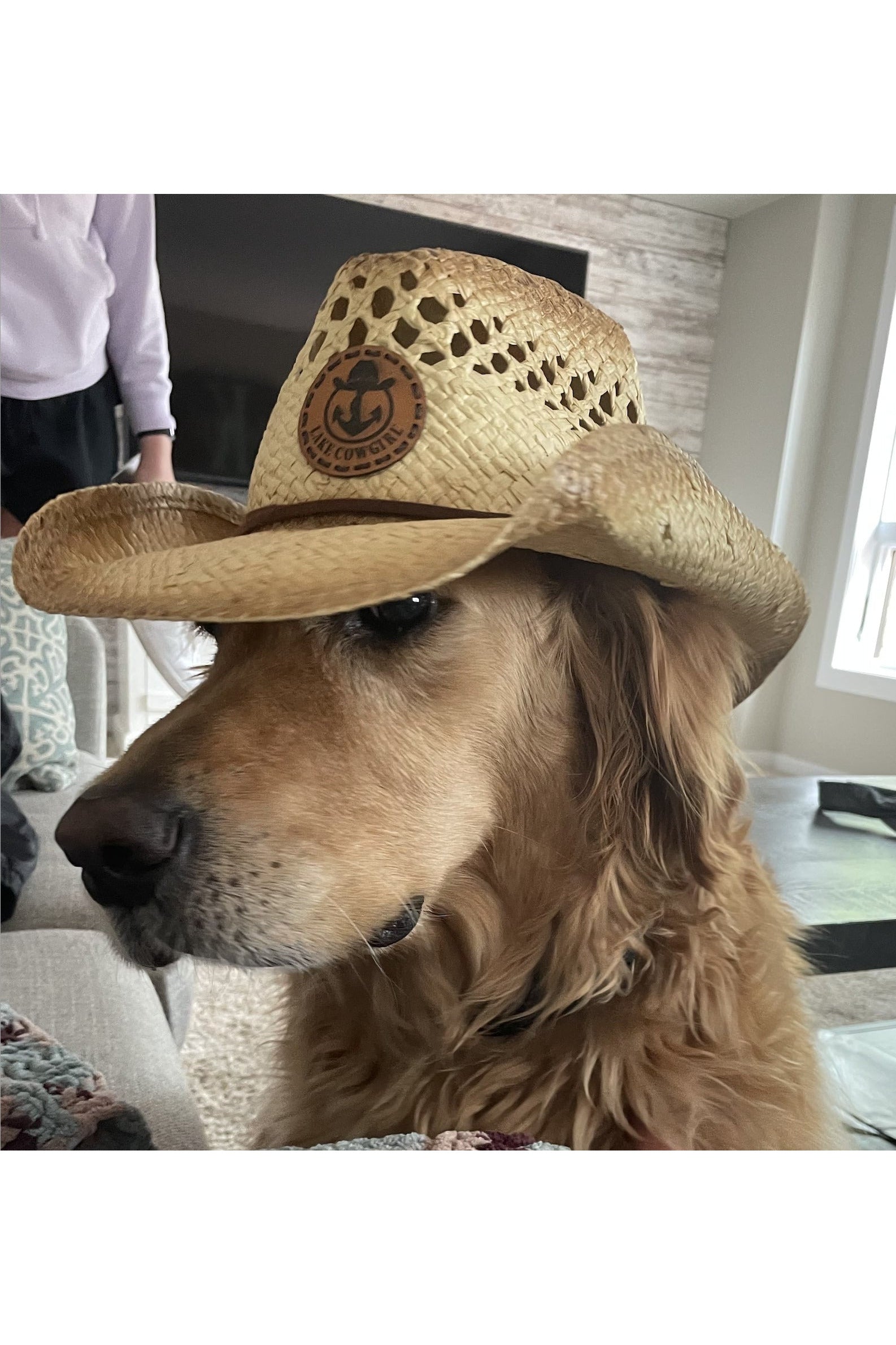 Photo of Kallie the Golden Retriever wearing a Lake Cowgirl Signature Cowboy Hat.